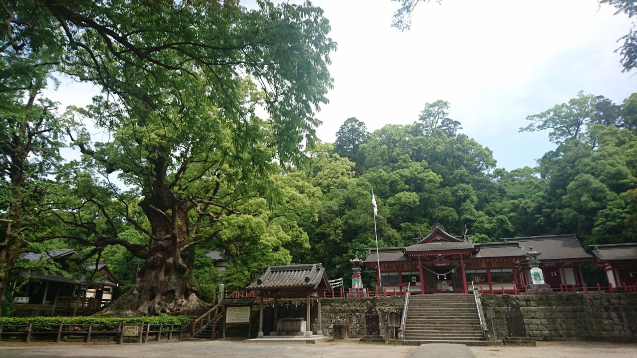 『蒲生八幡神社（姶良市）』に行ってきました～(^▽^)/日本一の大楠が偉大過ぎる！！